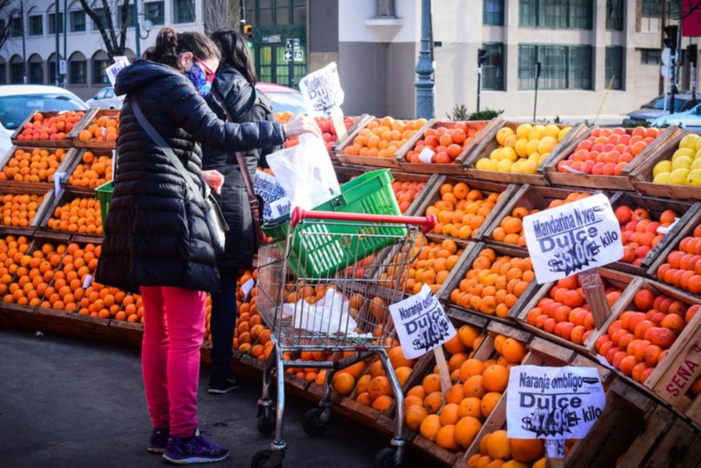 Pocos y caros: en algunas verdulerías por alcaucil piden hasta 120 pesos