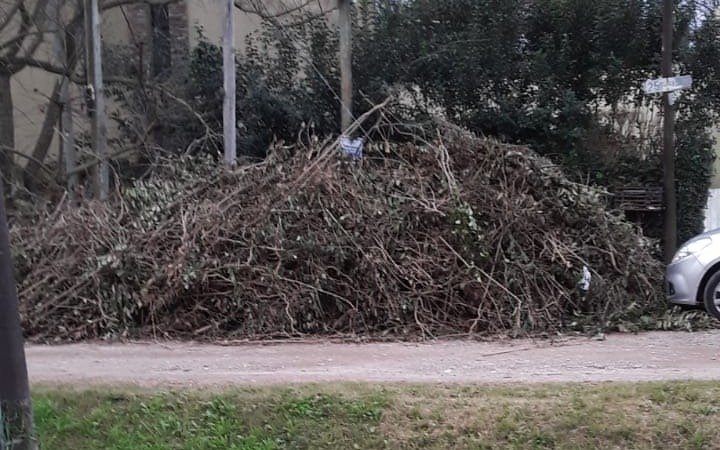 Temen que una montaña de hojas se convierta en guarida para ladrones