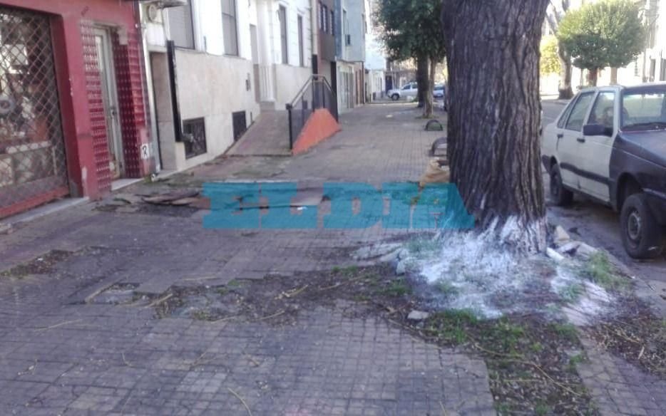 Alerta de vecinos de Plaza Belgrano por mascotas intoxicadas con veneno 