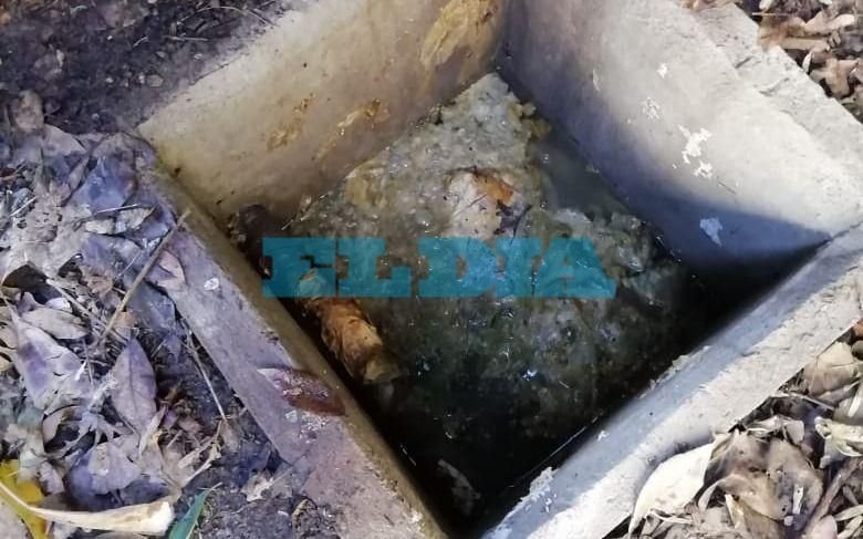 Un desborde cloacal siembra el temor en Altos de San Lorenzo