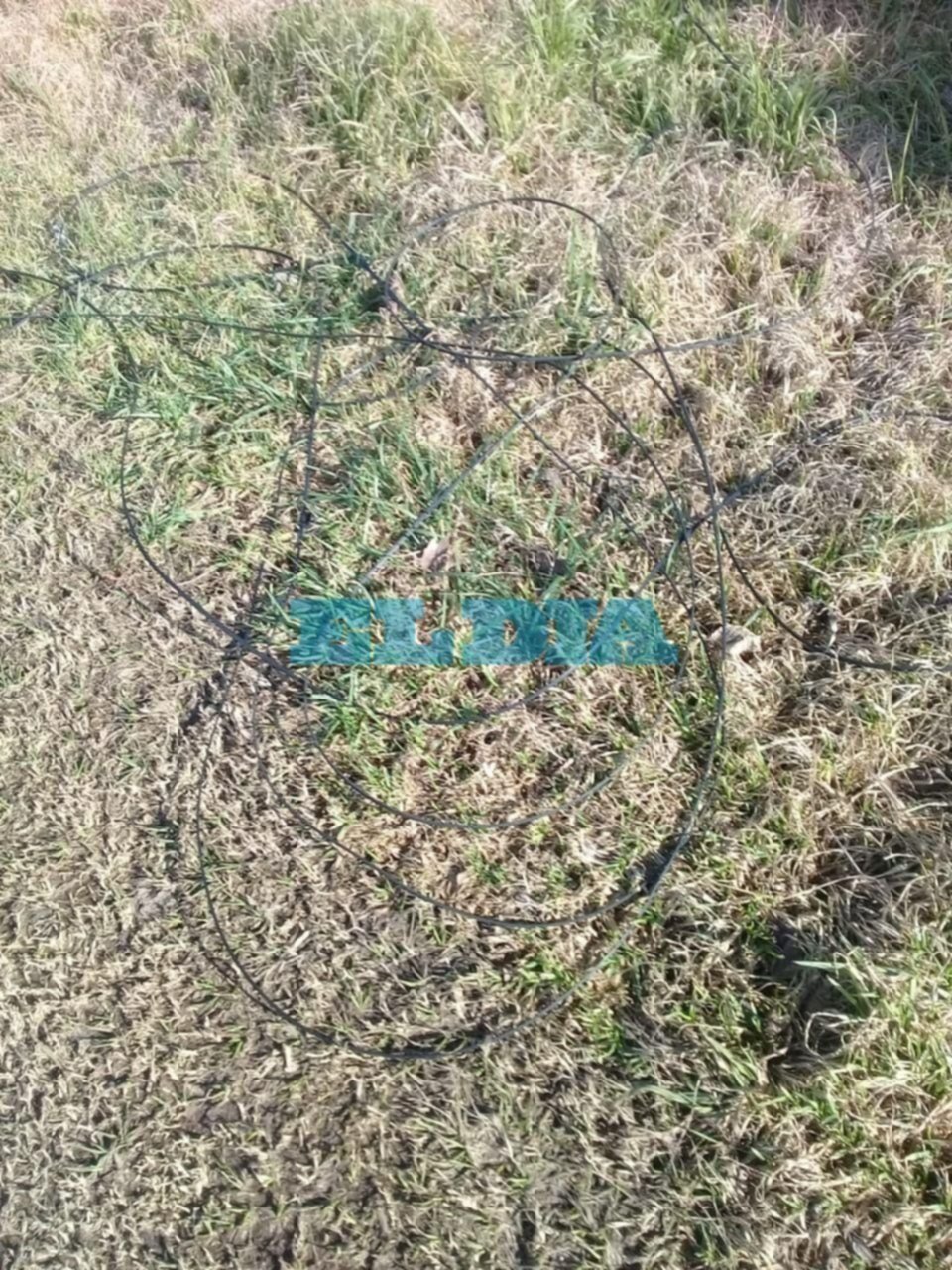 Denuncian situación de riesgo por un cable que se desprendió de un poste