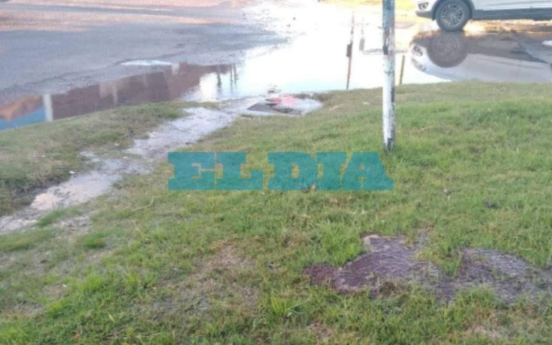 Una pérdida de agua en Villa Elvira ya lleva un mes sin tener soluciones