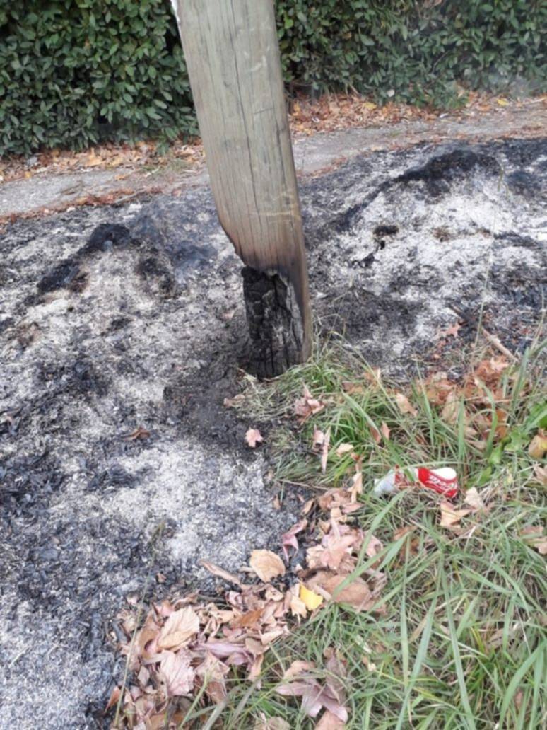 City Bell: por la quema de hojas se prendió fuego un poste de servicios