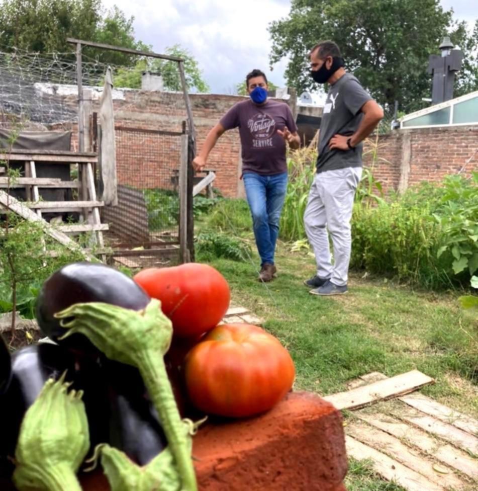 Huertas familiares para una alimentación más sana