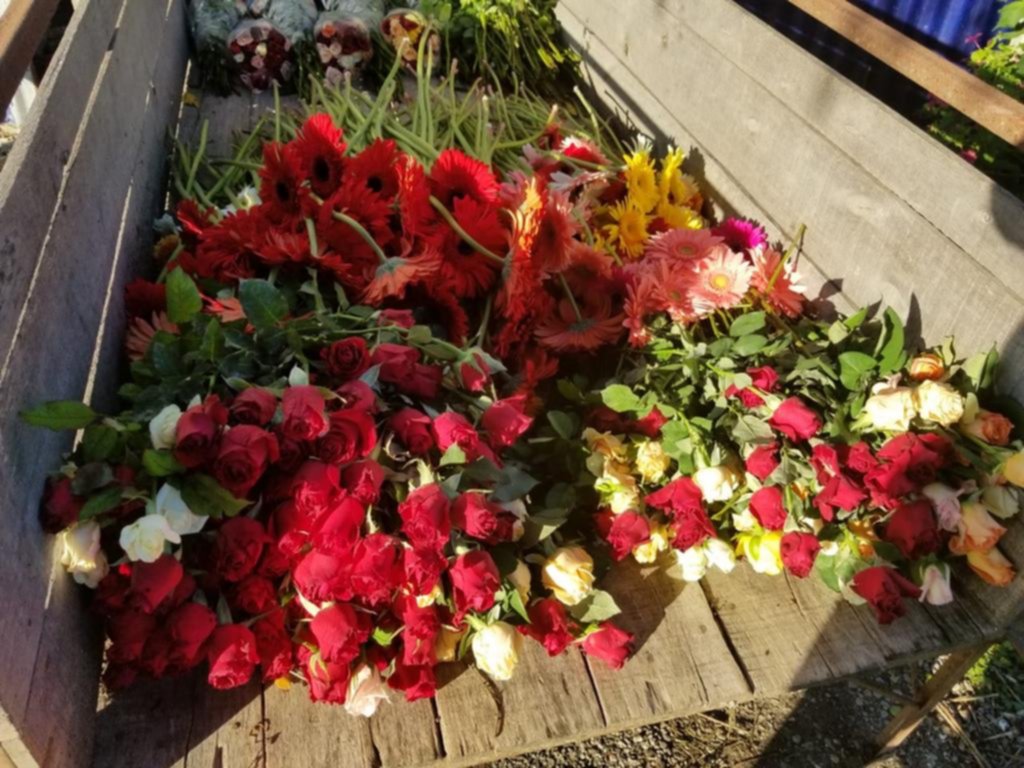 La pandemia golpea a los floricultores y la mitad se reconvirtió para sobrevivir