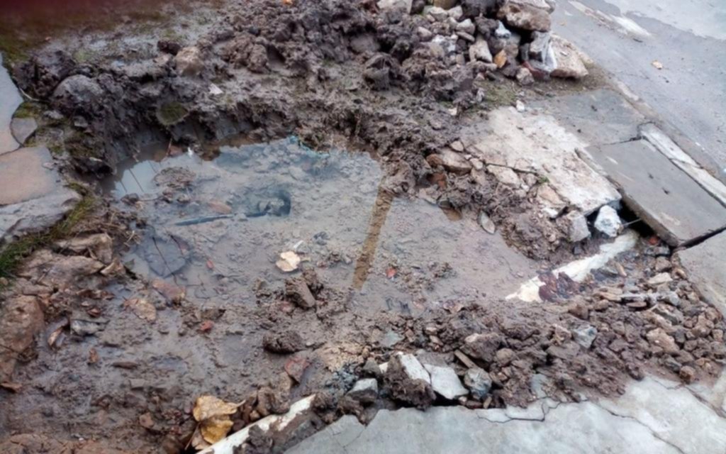 Berisso: hace 2 meses que no tiene agua por una filtración
