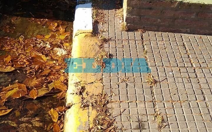 Furioso descargo de jubilada platense: "Me multaron por no pintar el cordón durante el confinamiento"