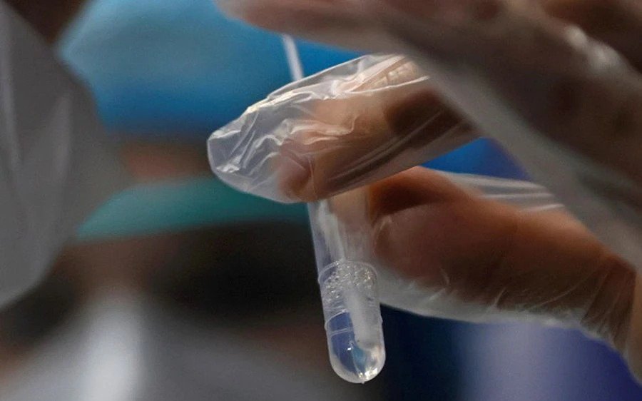 Aumentó la frecuencia de detección de las variantes Manaos y Andina en el AMBA