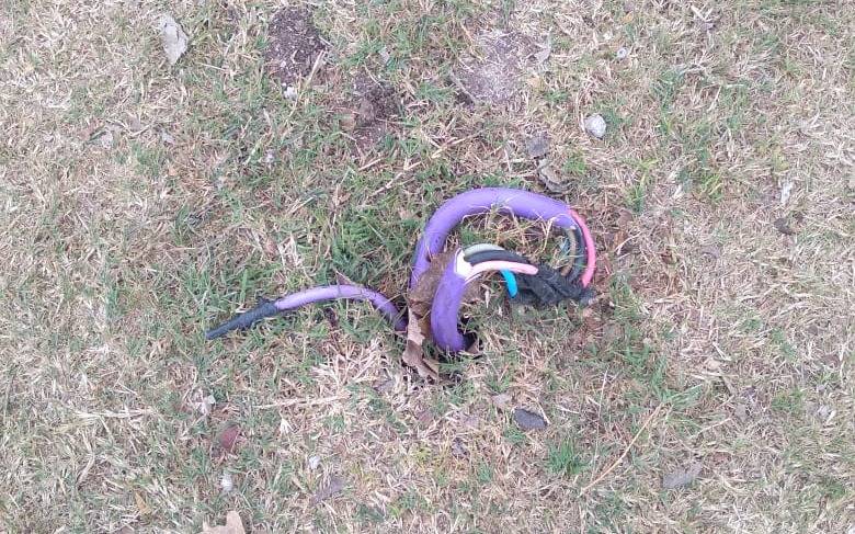 Renuevan reclamo por cables a la intemperie en el Parque Castelli