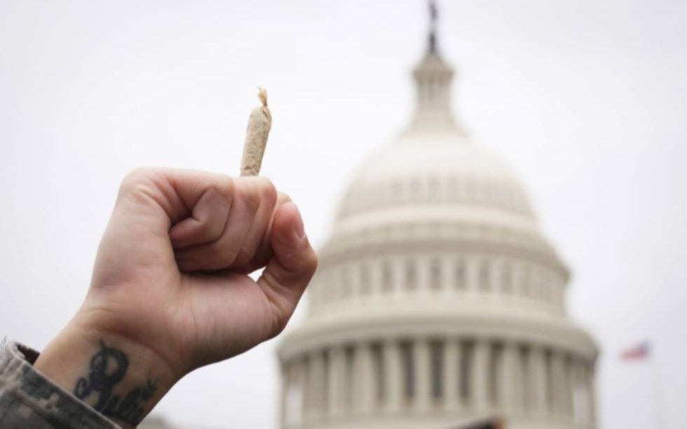 Insólita oferta en Washington para fomentar la vacunación contra el Covid: "porros por vacunas"