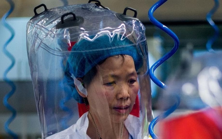 La científica china a cargo del laboratorio de Wuhan negó que el virus se haya escapado