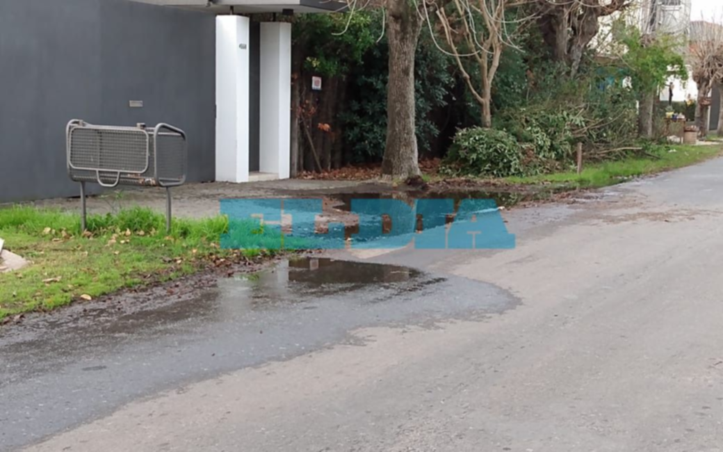 Un sector de Gonnet en jaque por una pérdida de agua que lleva varios meses