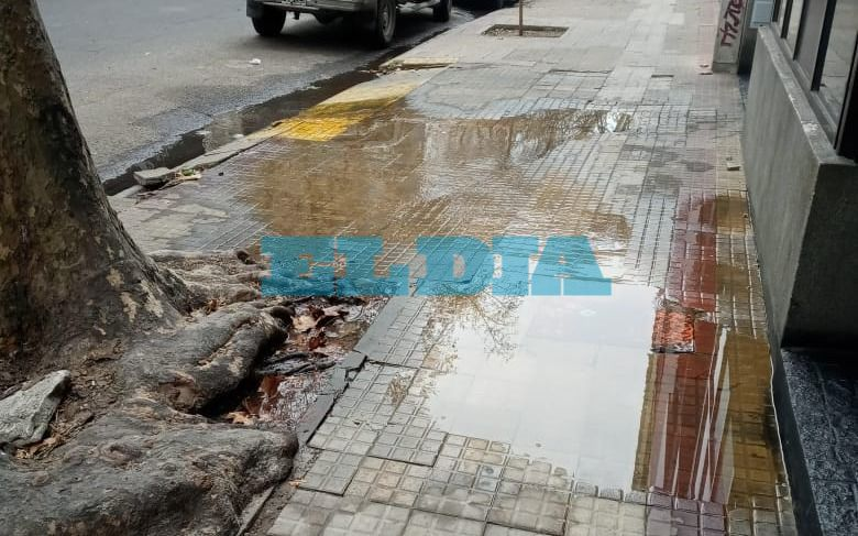 Renuevan reclamo por una abundante pérdida de agua en la zona de 9 y 56