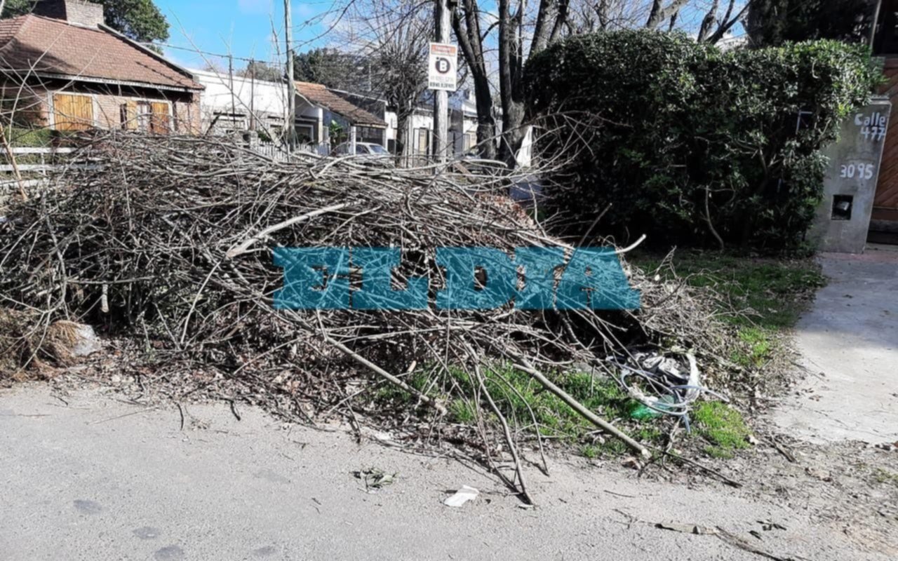 En City Bell, aseguran estar “agobiados” por la falta de recolección de residuos no habituales 