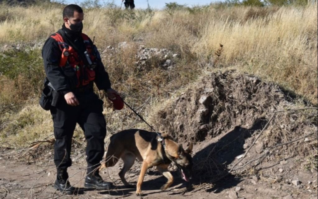 Una perra marcó una casa y una posible mancha de sangre en el barrio donde desapareció Guadalupe
