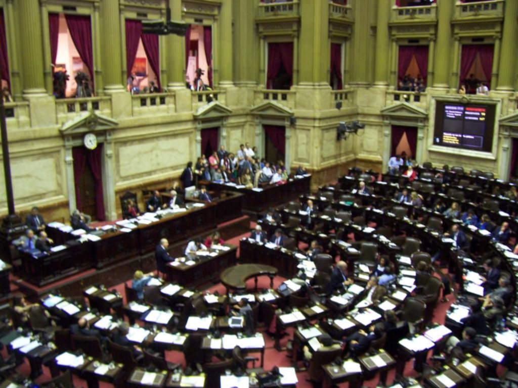 El Gobierno apuesta todo a conseguir mayoría propia en la Cámara de Diputados