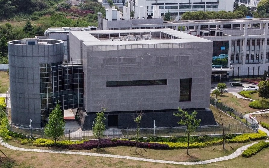 La única científica extranjera que trabajó en el laboratorio de Wuhan rompió el silencio: “Lo que la gente dice no es como es"