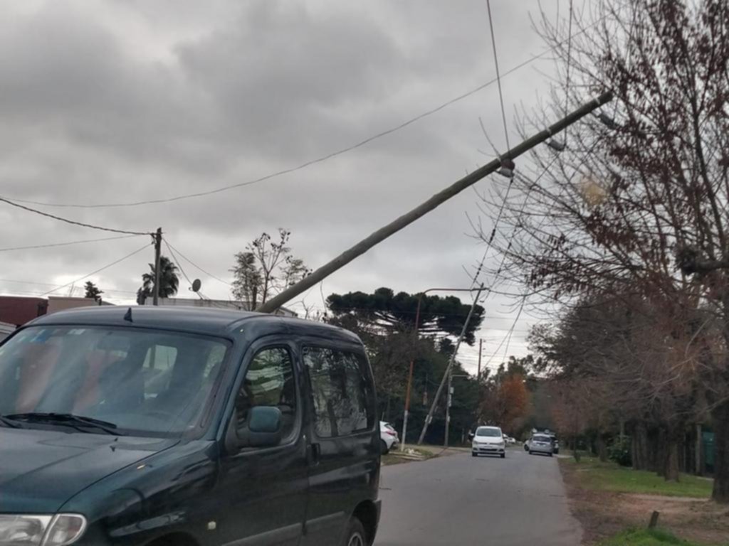 Alerta climática en la Región: el frío aprieta y el viento golpea con fuerza y tira postes