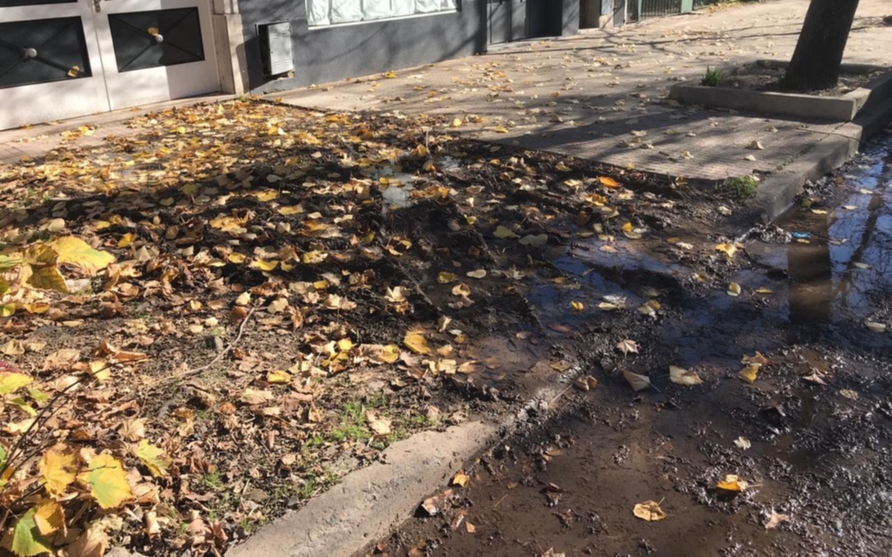 Por una pérdida de agua se formó un charco  repleto de barro y hojas en 22 y 62