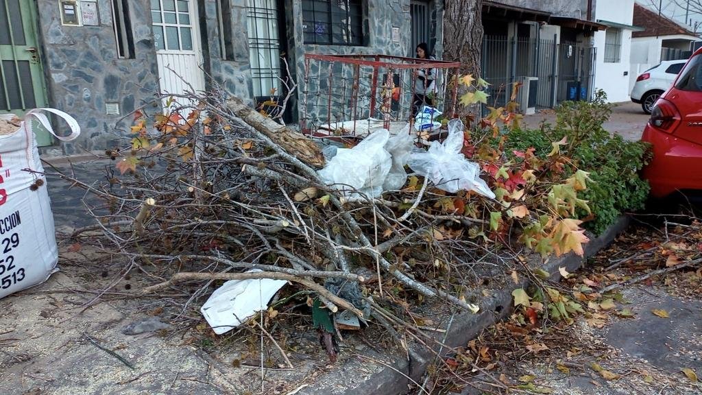 Alarma en La Loma por la “furtiva” poda arbórea