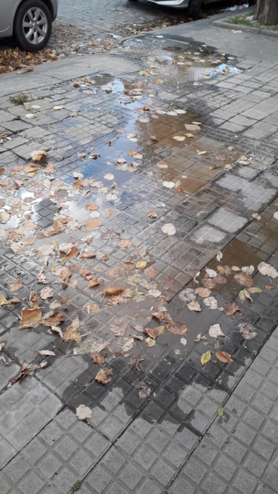 Denuncian pérdida de agua en 65 entre 10 y 11