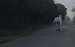 Automovilistas advirtieron por un caballo suelto en 144 y 467