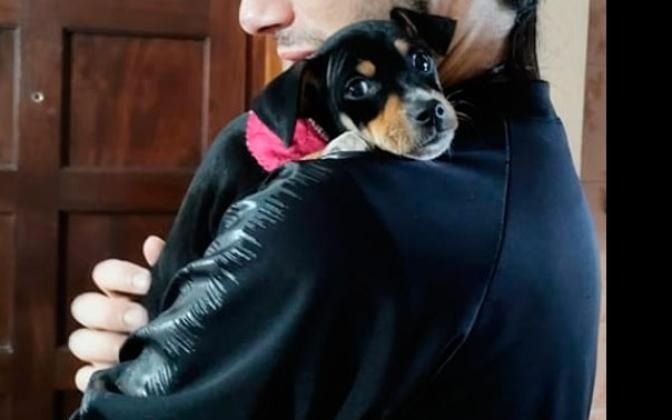 ¿A dónde está Suliman? Llevaba a su perro en la mochila, se la robaron y la búsqueda se hizo viral