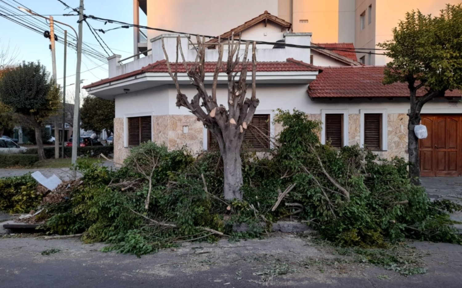 Vecinos denuncian al "loco de la motosierra" por tala en La Loma: movida y protesta