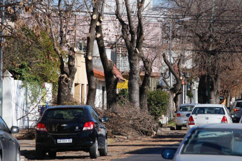 Fuertes quejas vecinales por la poda en La Loma