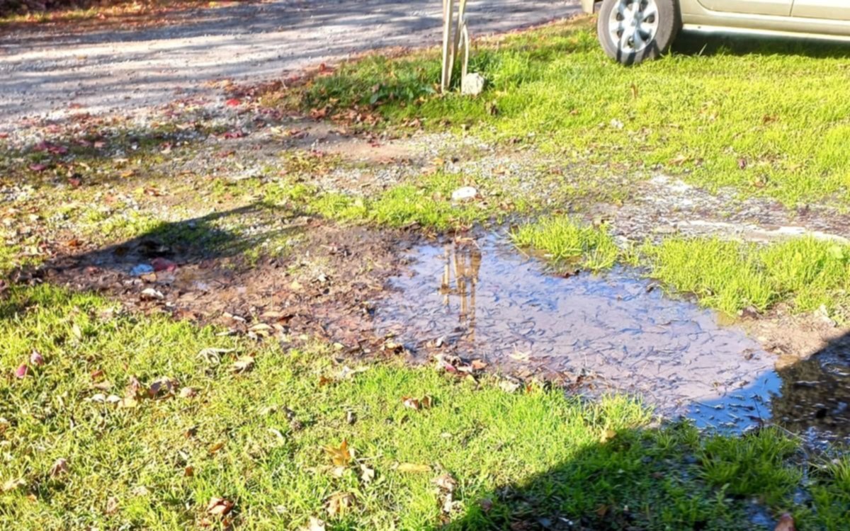 Vecinos de Gonnet reclaman una pérdida de agua y muy baja presión en sus hogares
