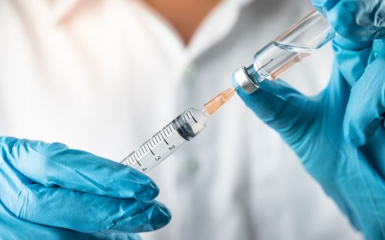 Vacuna contra la leishmaniasis: científicos del Conicet dieron un gran paso