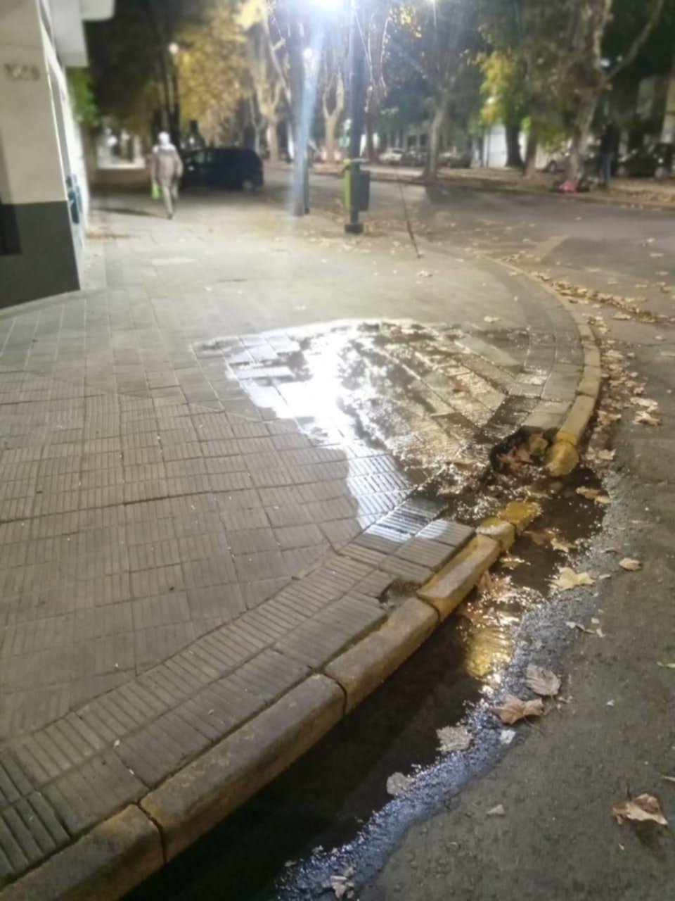 Una pérdida de agua en la zona de Plaza Moreno