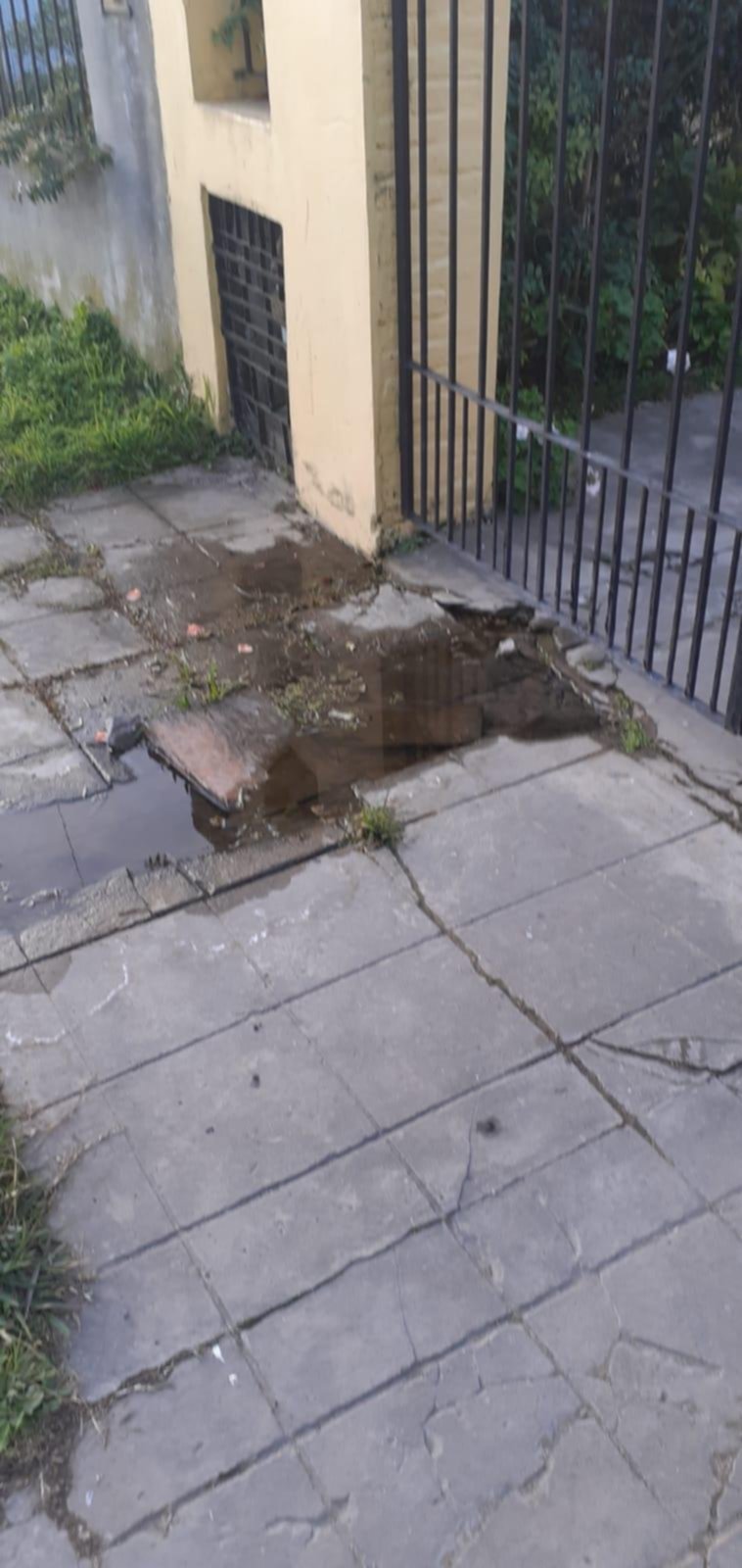 Esperan reparación de un caño en la puerta de la casa