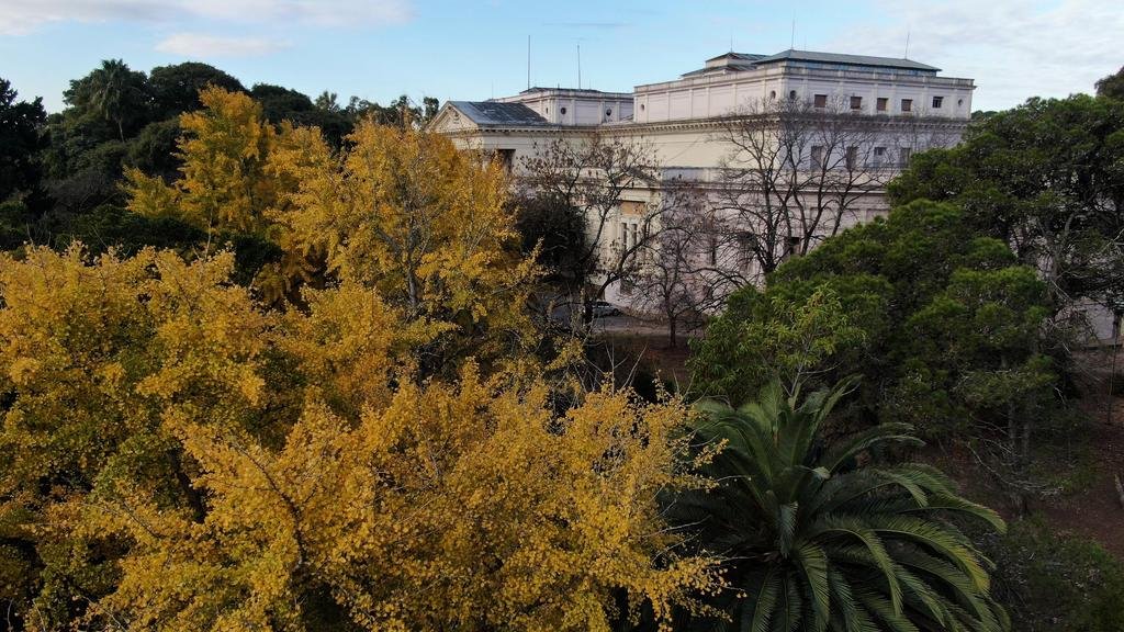 La Plata en imágenes: el Bosque en ocre