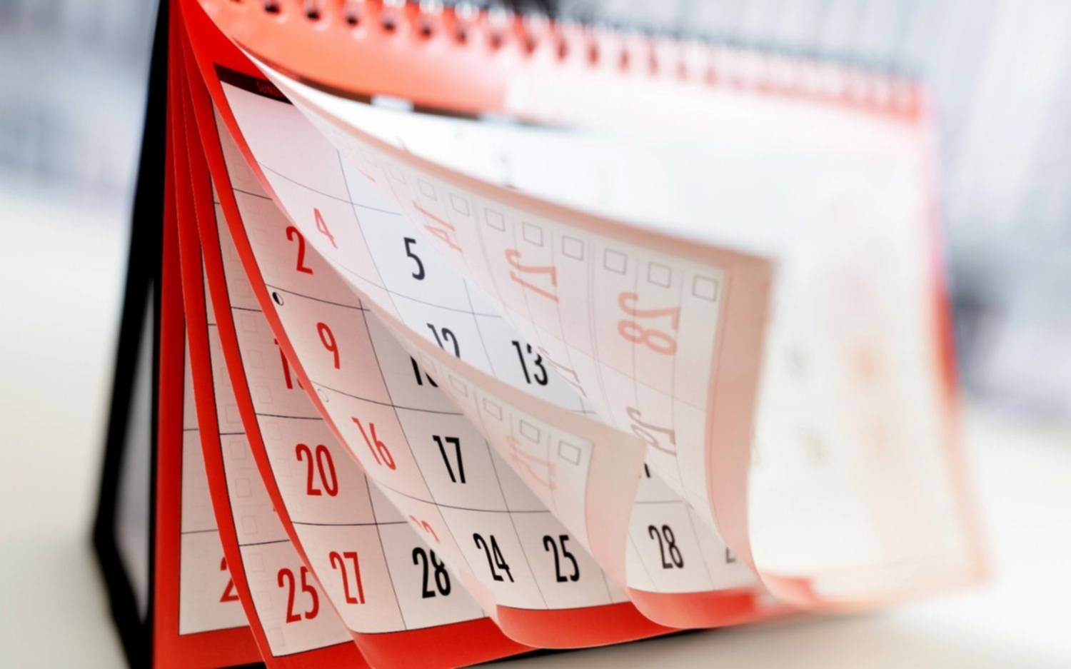 Feriados de junio: cuándo llegará el próximo fin de semana largo