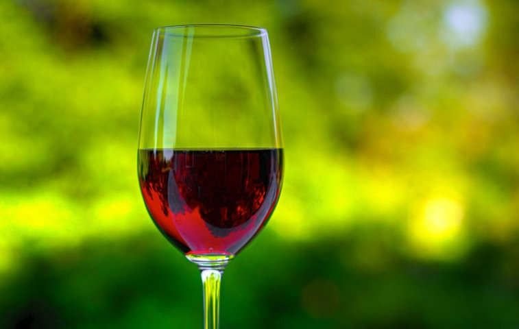 El Mejor Malbec orgánico del mundo es de Agrelo