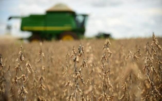 El precio de la soja rompe récords: la tonelada supera los U$S 650