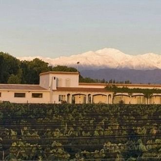 Bodega Vinorum reconocida con el Sello Luján Sustentable