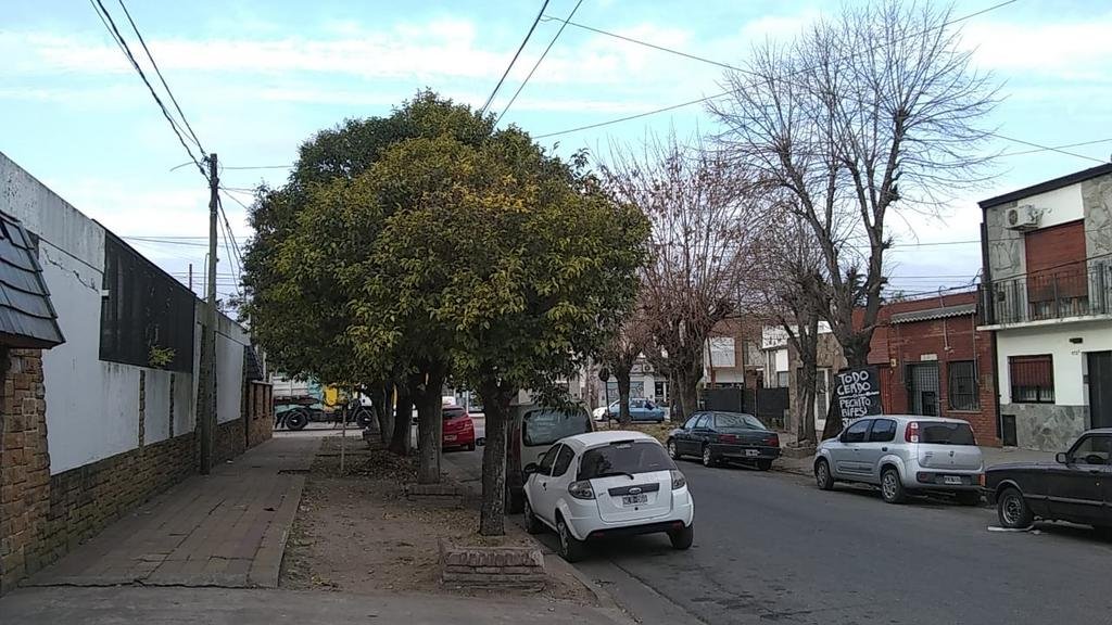 Piden por la poda de los árboles en 74 y 121