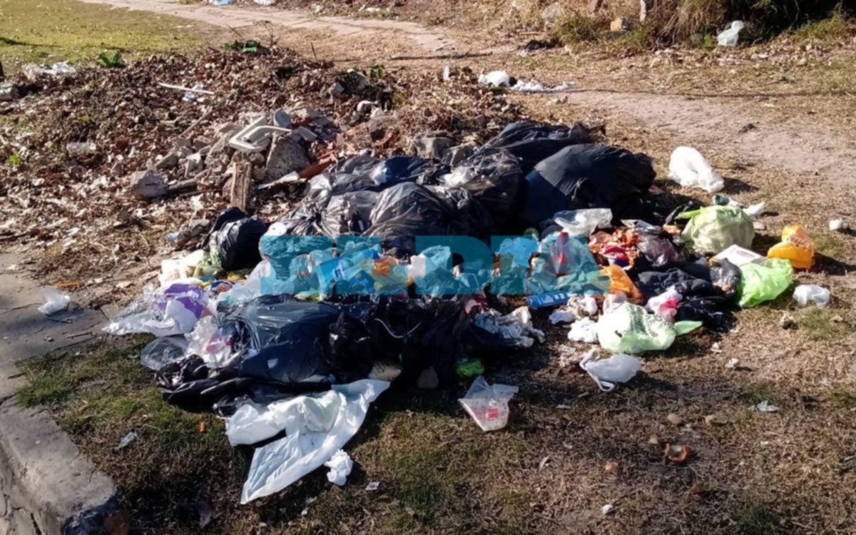 Basural a cielo abierto en Tolosa causa malestar entre los vecinos