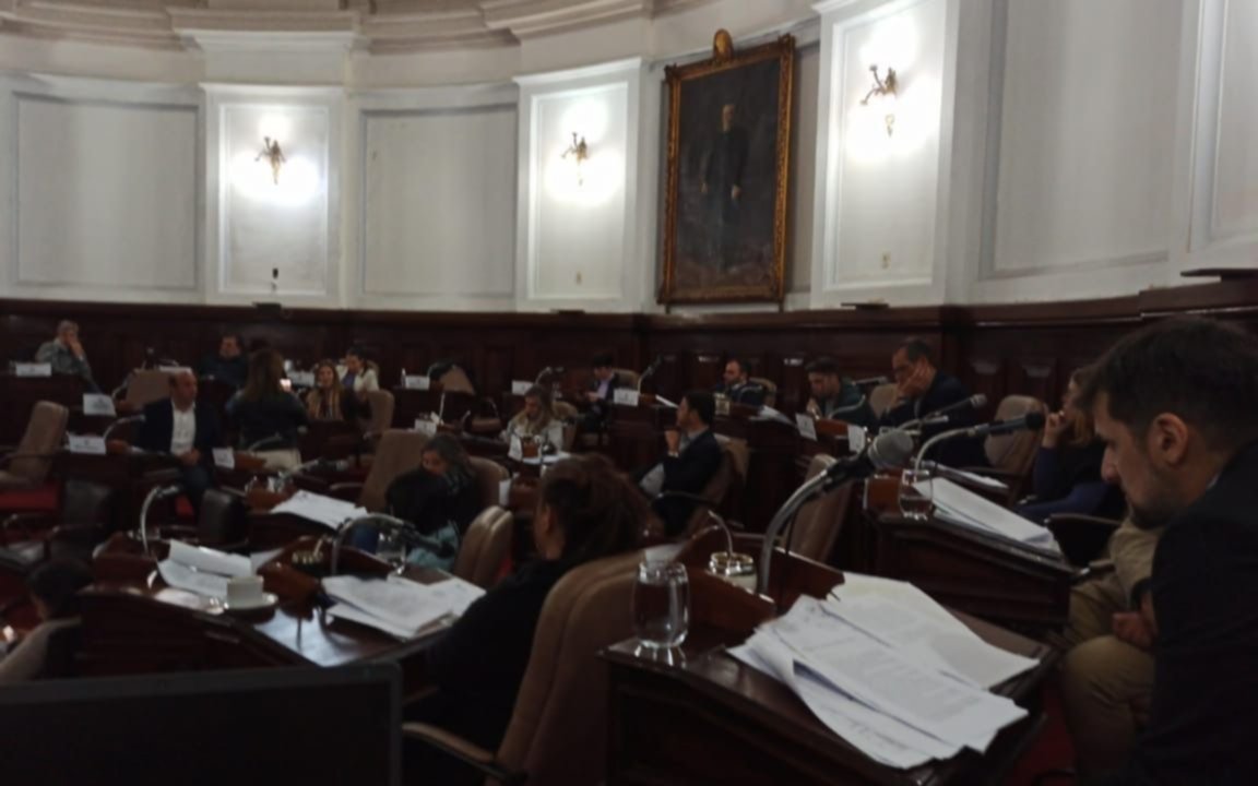 Críticas a Garro por “banalizar” la sesión del Concejo con un tiktoker