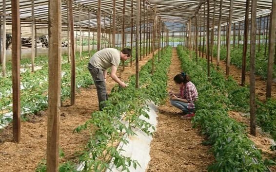 Denuncian que no hay políticas para el desecho de agroquímicos en el cinturón frutihortícola platense