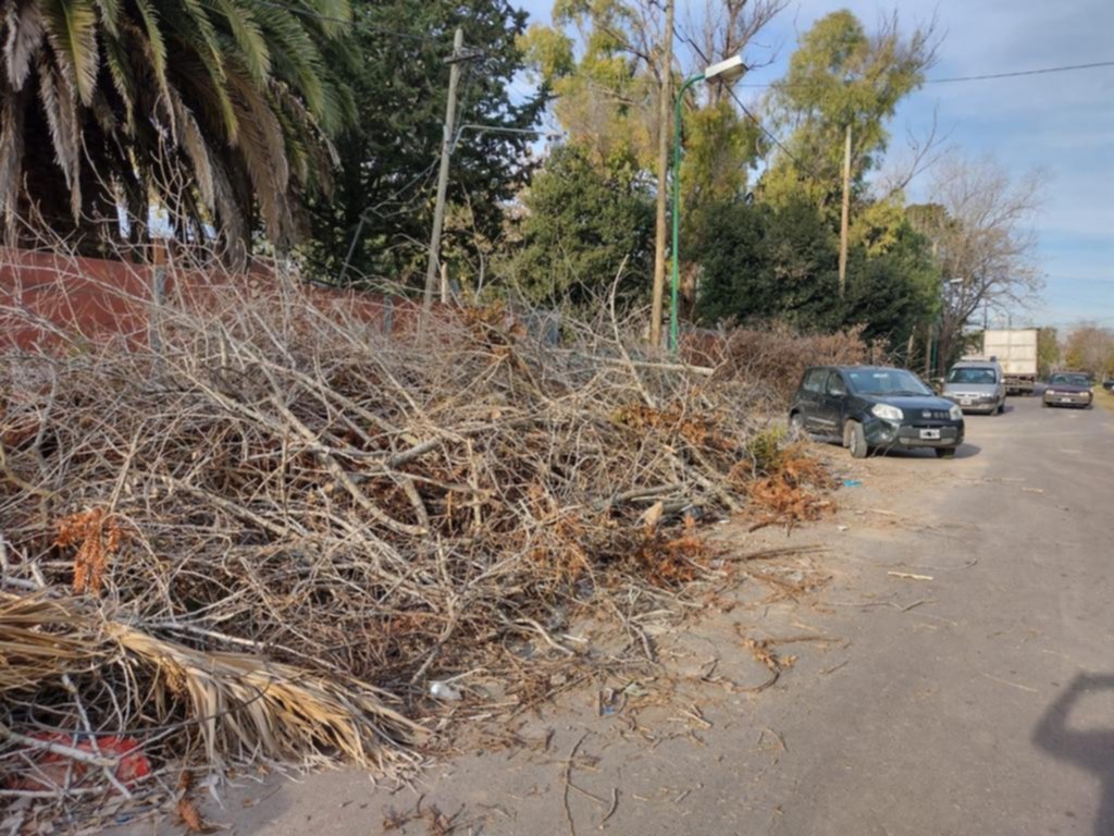 Piden por limpieza de ramas en 144 entre 47 y 49