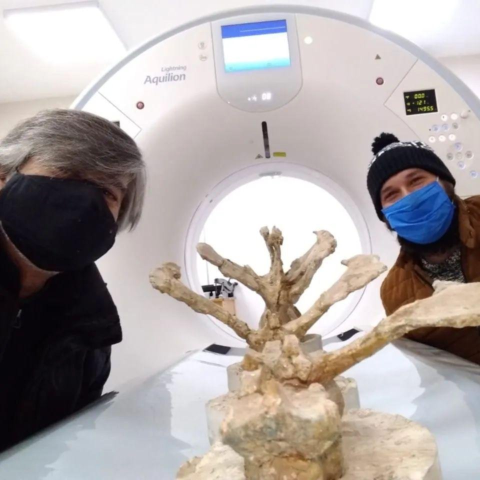 Realizan tomografías a dinosaurios para saber más de su pasado