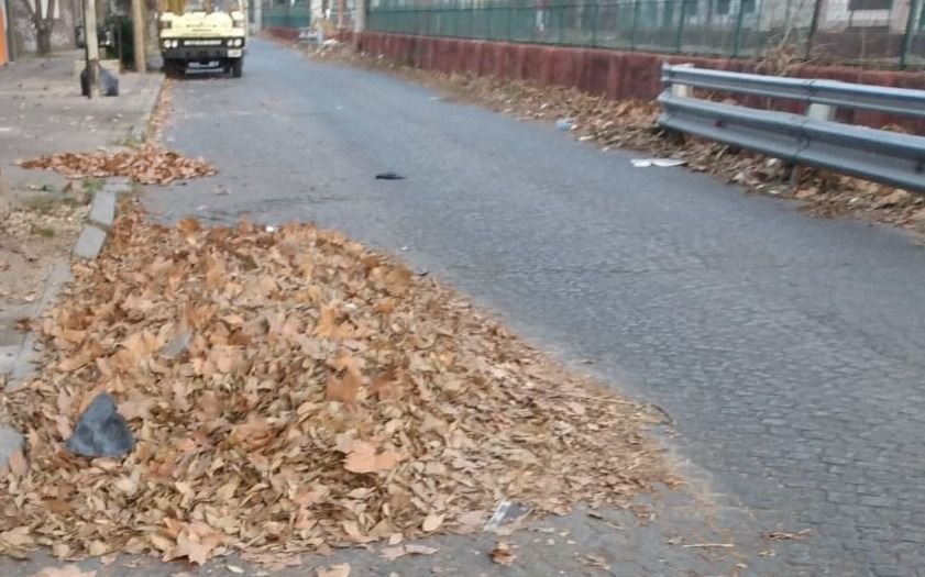 A metros de la Estación de Trenes, la basura cumple seis meses copando las calles