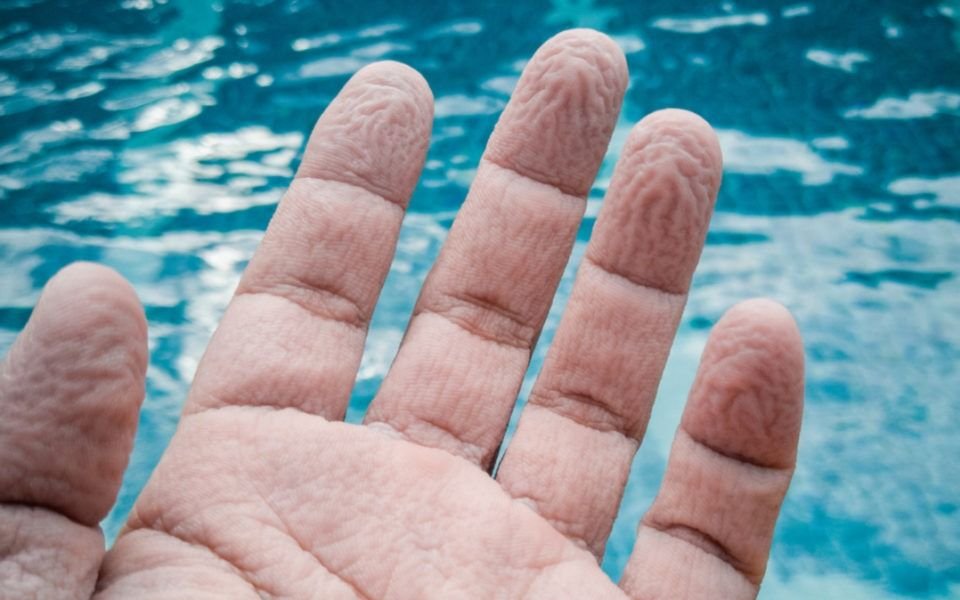 Por qué se arrugan los dedos al estar bajo el agua un rato