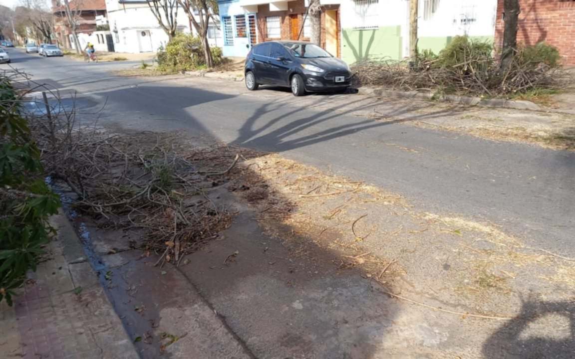 Montañas de ramas obstruyen veredas y los vecinos ponen el grito en el cielo
