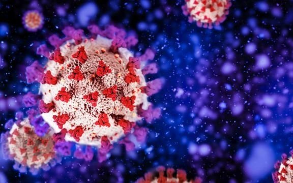 Coronavirus en el país: detectaron dos nuevas subvariantes de ómicron