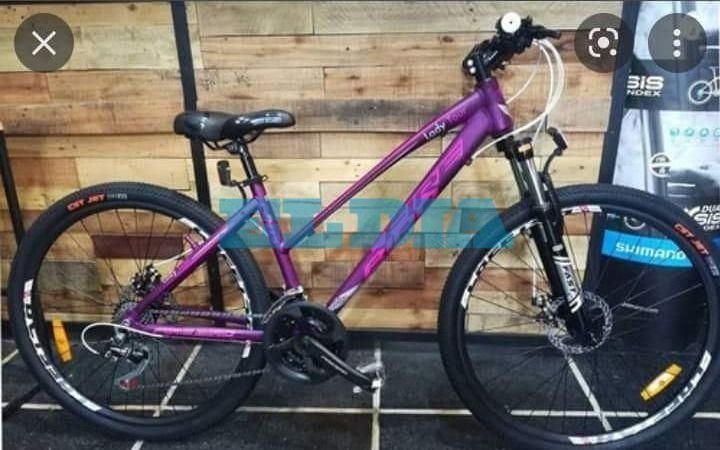 Inseguridad en City Bell: entraron a una casa y robaron una bicicleta