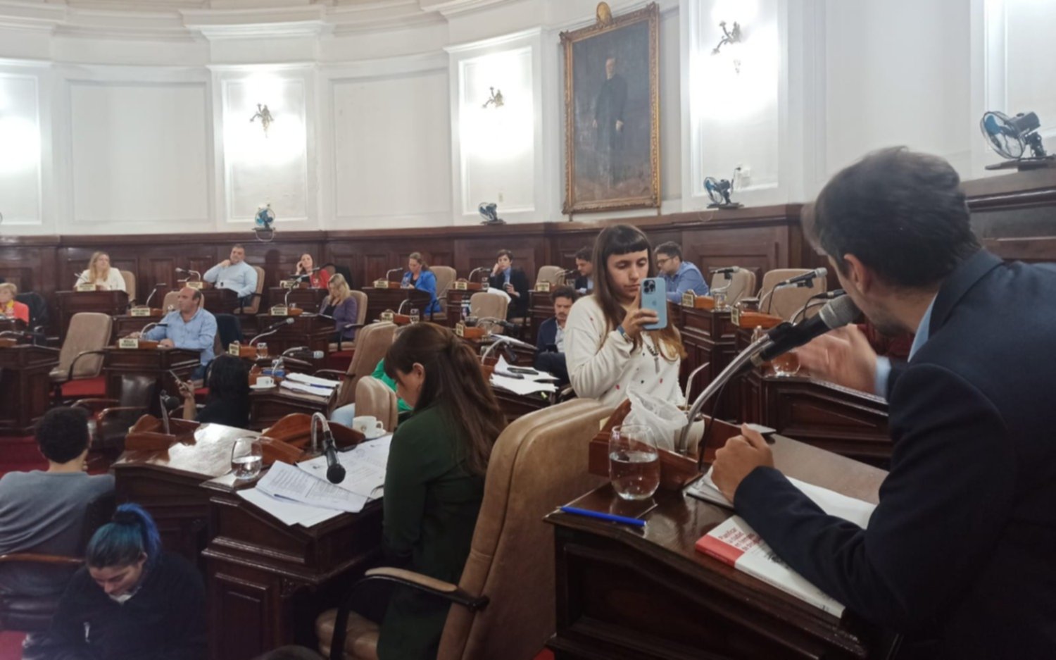 Se aprobó la desafectación del Polo Electoral en Meridiano V